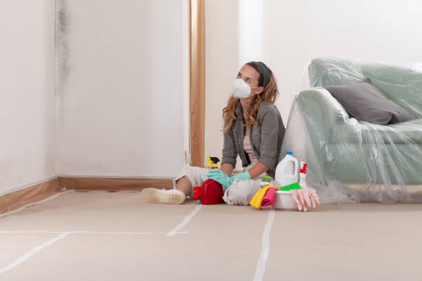 Reliable Black Mold Removal contractor in Woodbridge, NJ by WQB Mold Removal